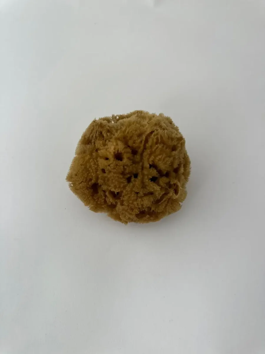 EPONGE – Carabien Quality Bath CT1 (8cm)